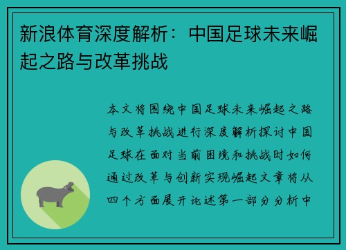新浪体育深度解析：中国足球未来崛起之路与改革挑战